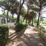 Path outside holiday homes