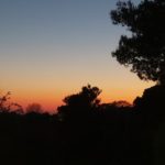 Path outside holiday homes