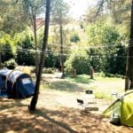 Toscana Camping Tuscany Italy Leisure Holiday Park