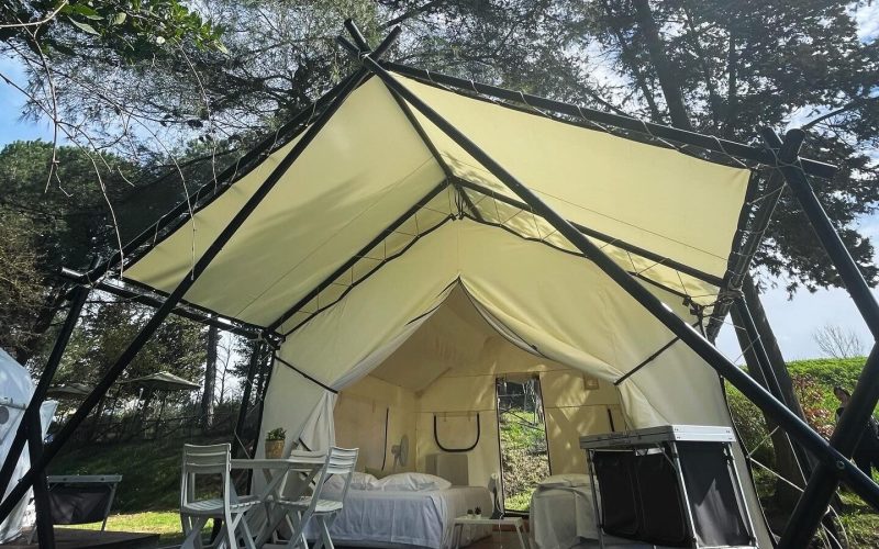 FAC65A91-036F-4A49-8741-5E78388BF998