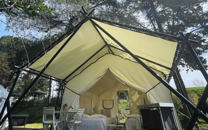 FAC65A91-036F-4A49-8741-5E78388BF998