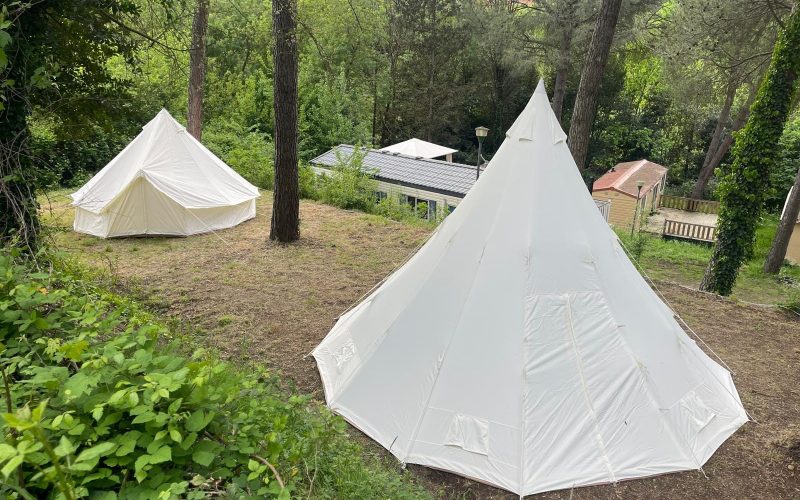 WhatsApp Image 2024-05-29 at 15.41.36